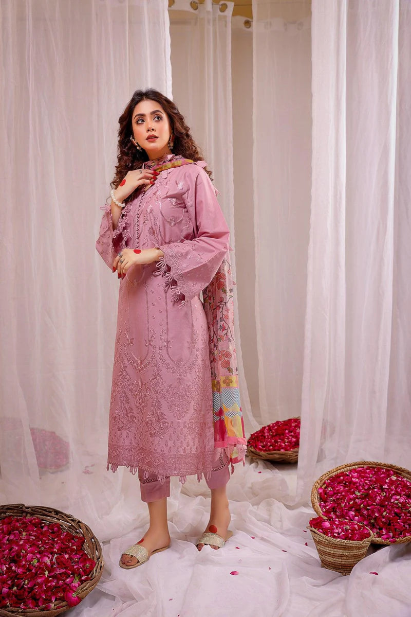 3PC EMBROIDERED DHANAK SUIT - AB40