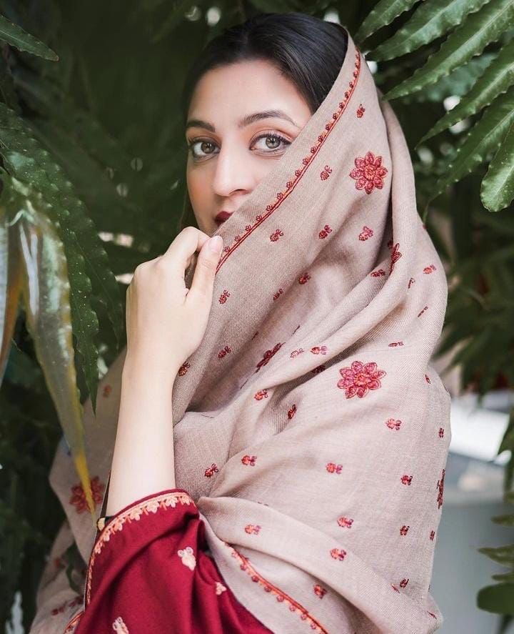3PC Embroidery Suit with Dhanak Shawl-AB-06